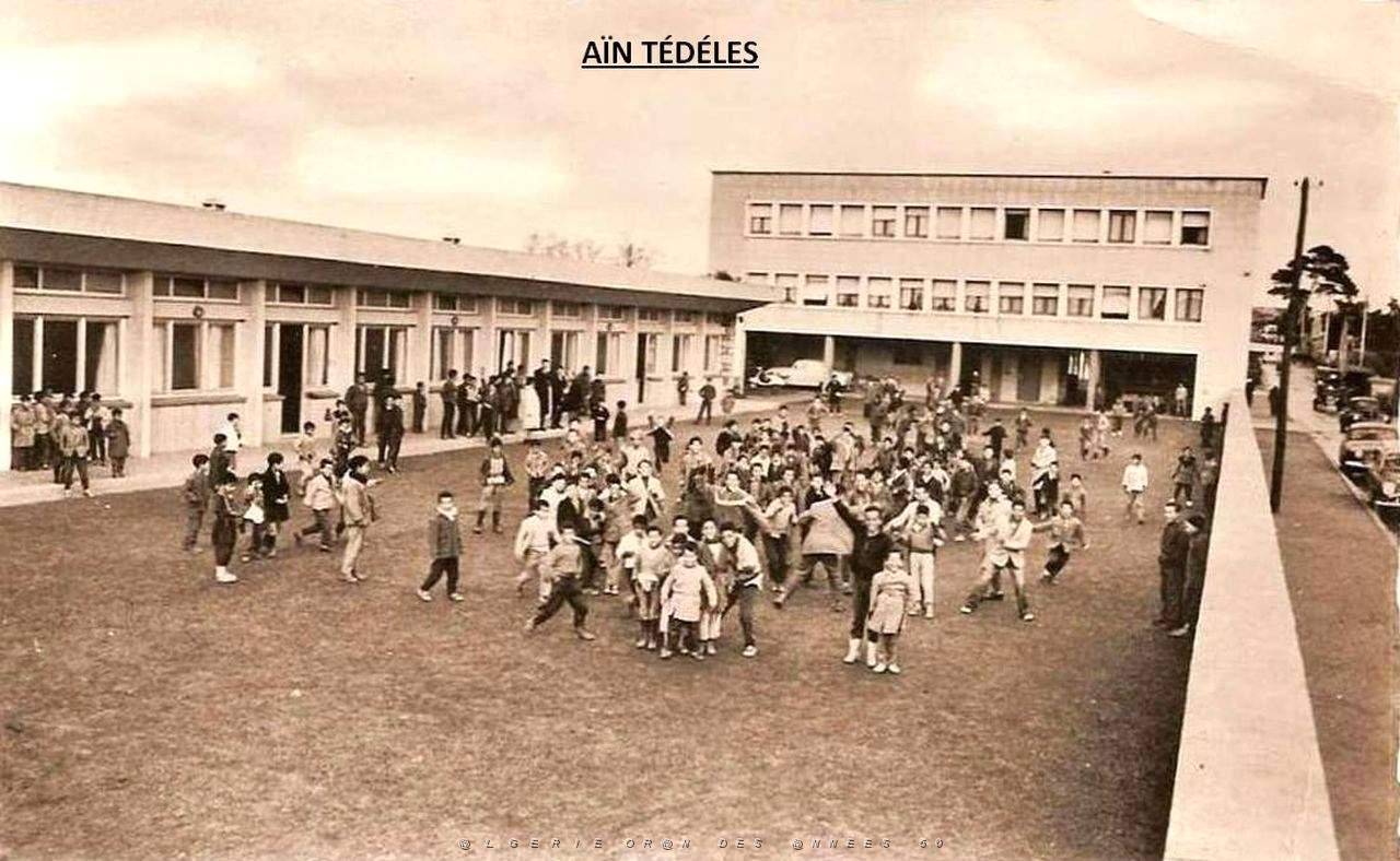 Ain Tedeles 520.jpg